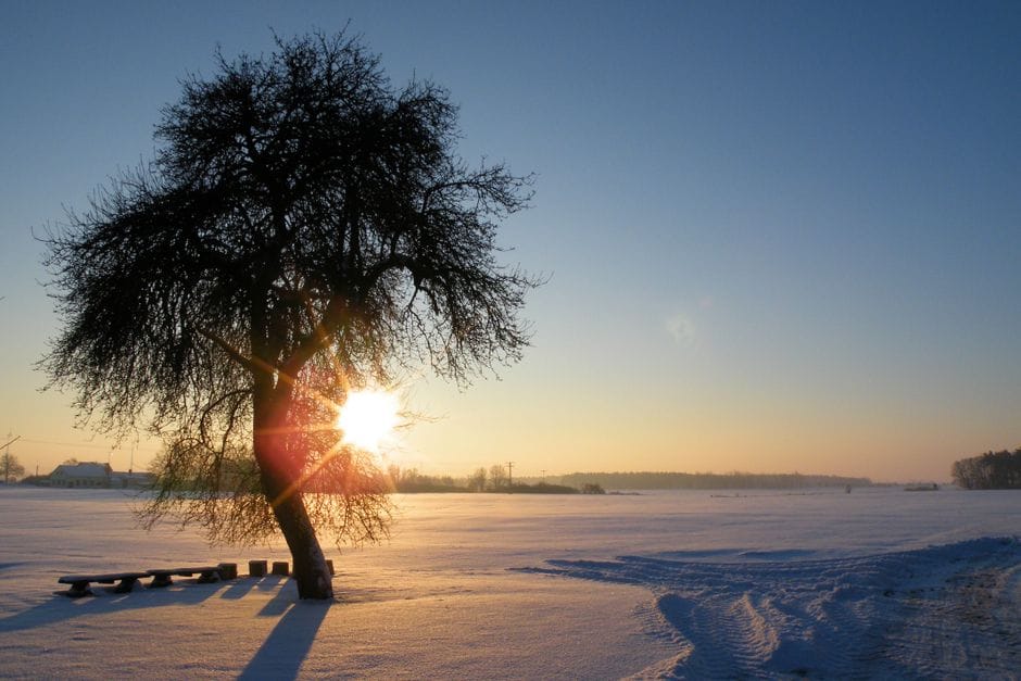 The case for going outside in winter