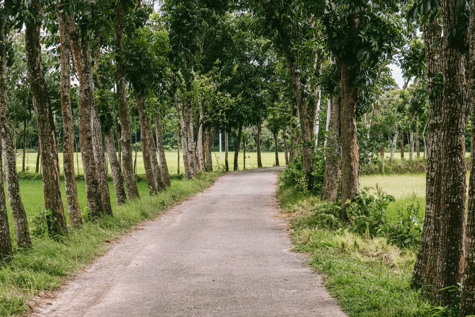 Walking is underrated, and I can prove it