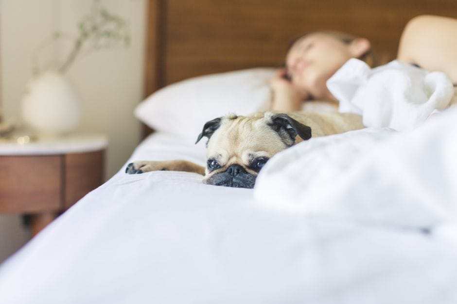 The myth of catching up on sleep at the weekend