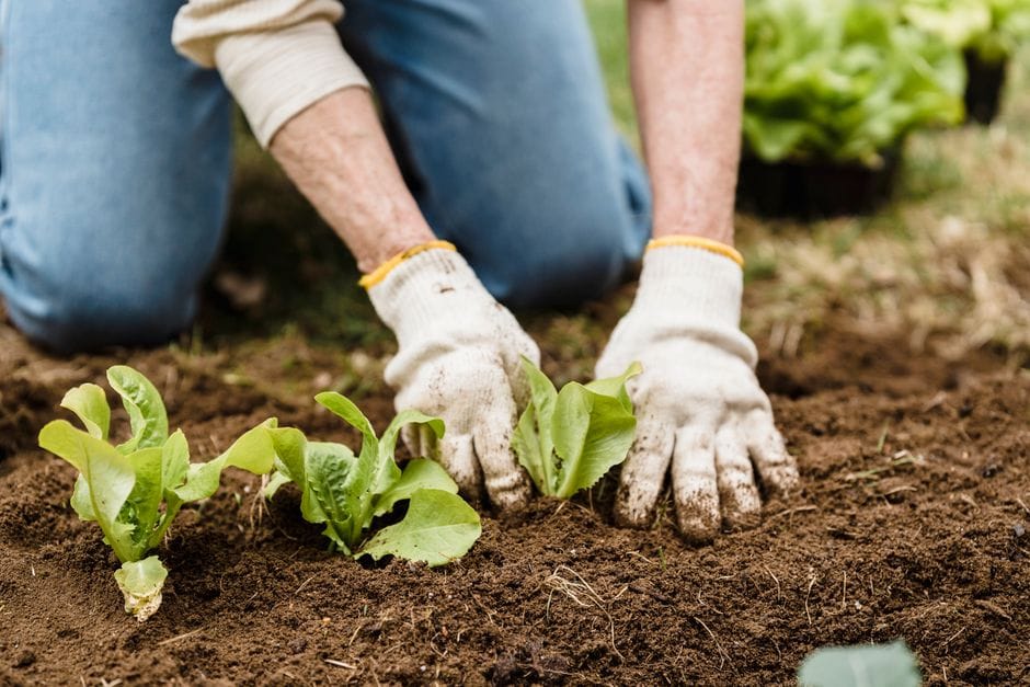 Why hobbies are not a waste of time