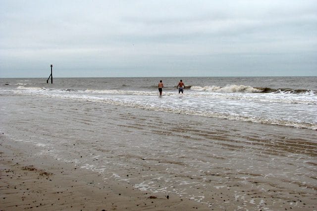 Cold water swimming: what the research actually shows (and what beginners get wrong)