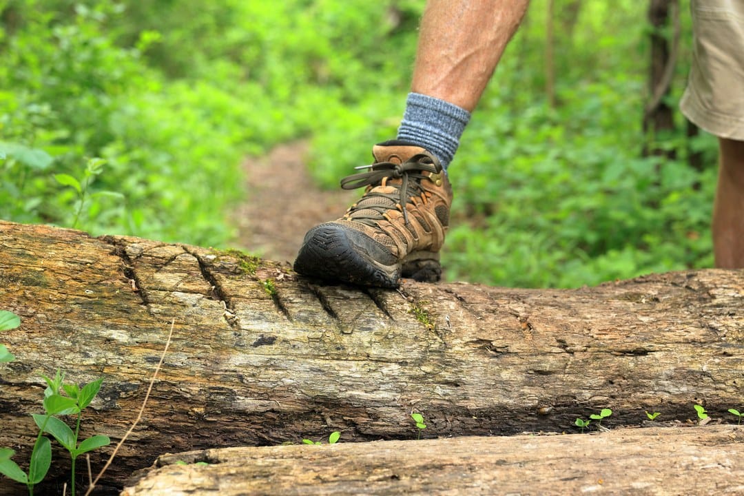 Tick Bites and Lyme Disease: What Actually Works This Summer (and What Doesn't)