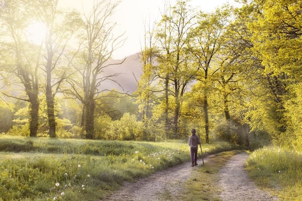 The twenty-minute walk that doubles as therapy