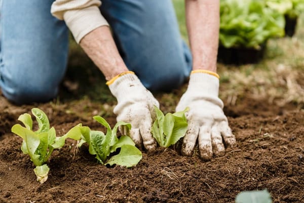 Why hobbies are not a waste of time