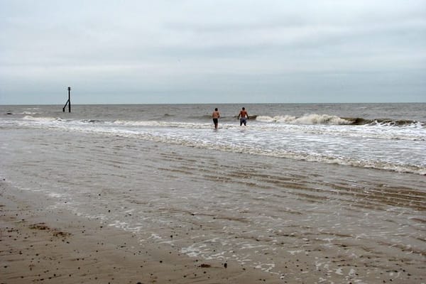 Cold water swimming: what the research actually shows (and what beginners get wrong)